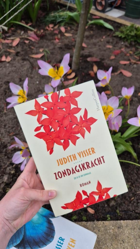 Zondagskracht - Judith Visser, Boeken, Ophalen of Verzenden
