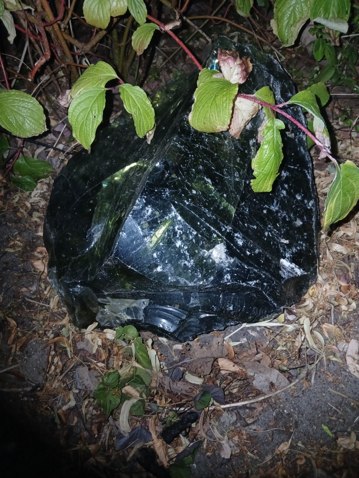 Lavasteen (10-15kg) als unieke blikvanger in uw tuin, Ophalen