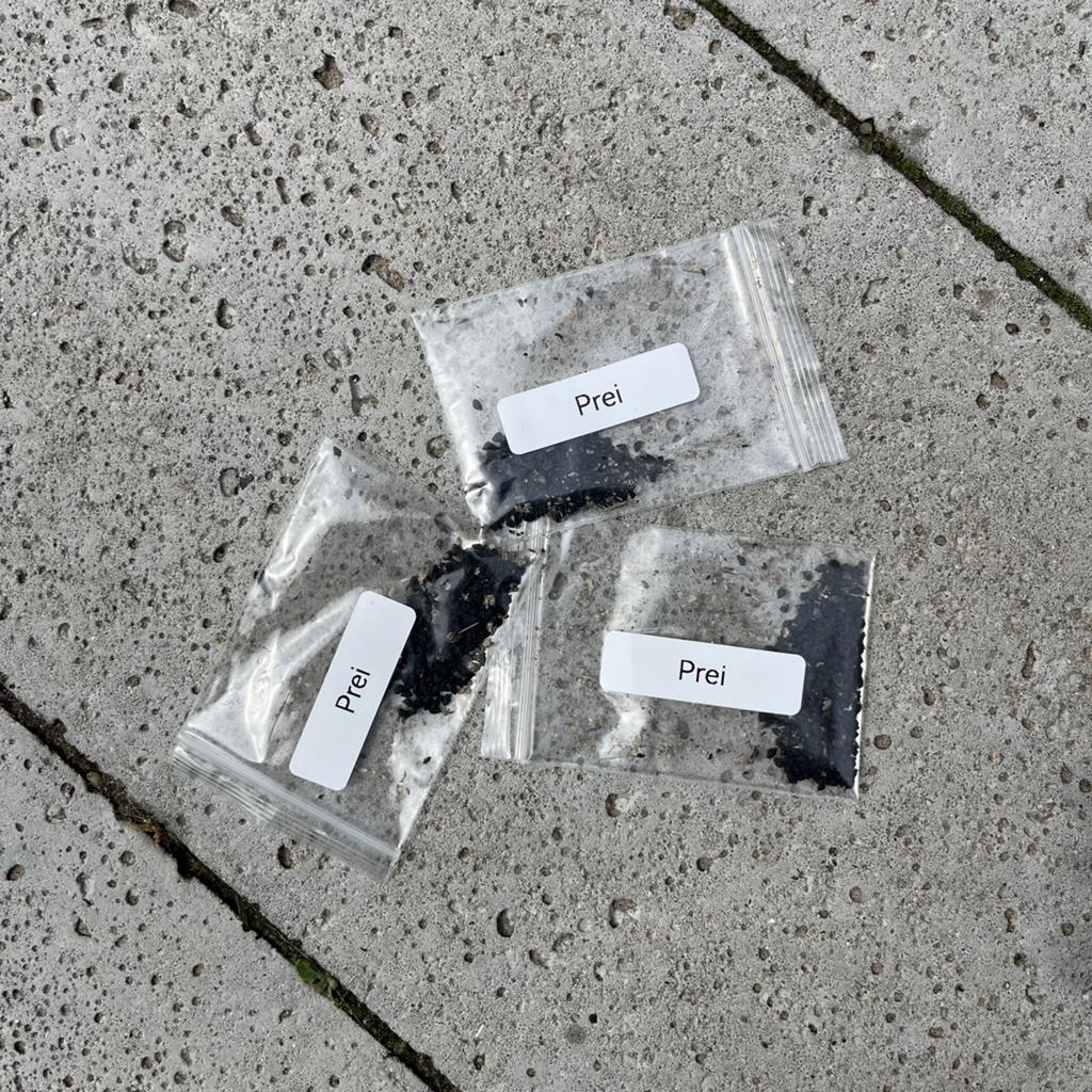 3 zakjes prei - ruilen?, Tuin en Terras, Bloembollen en Zaden, Zaad, Gehele jaar, Volle zon, Ophalen