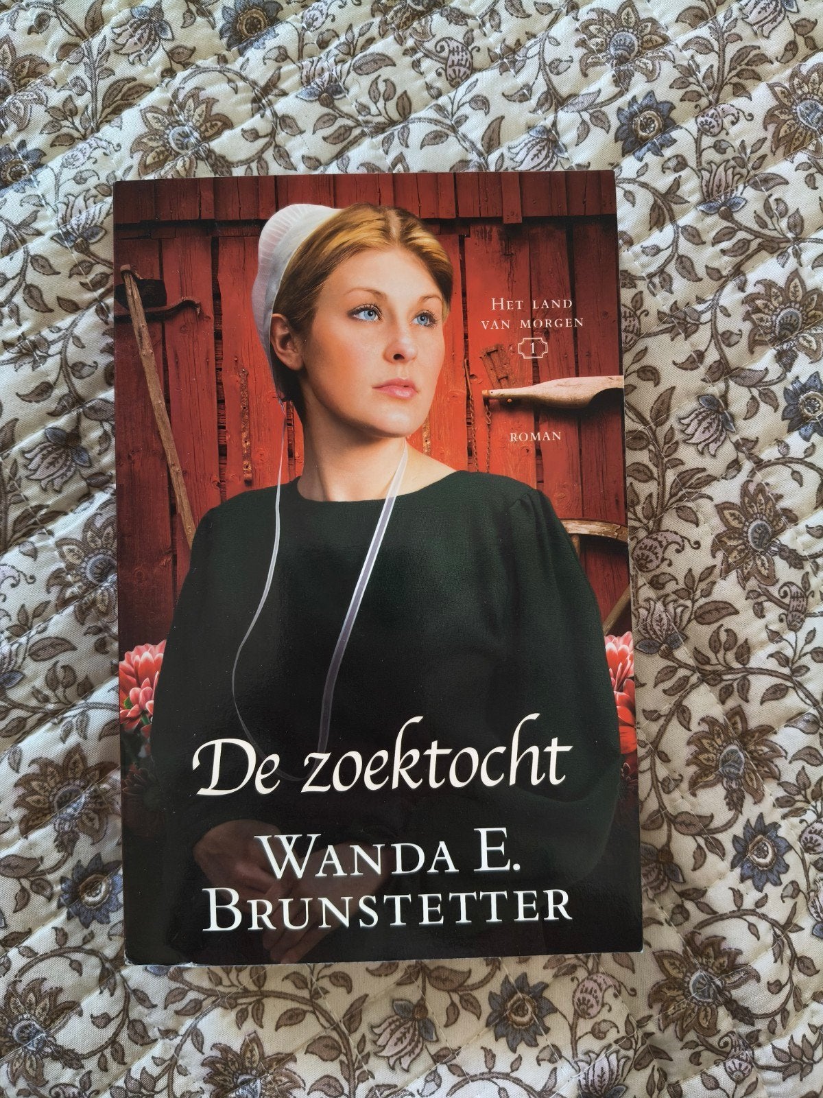 De Zoektocht - Wanda E. Brunstetter (Amish roman), Boeken, Romans, Ophalen of Verzenden, Zo goed als nieuw, Wanda E. Brunstetter