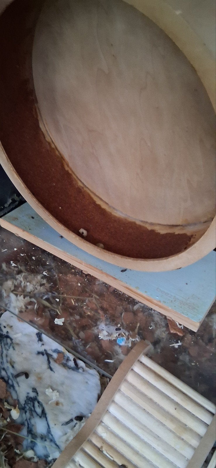 hamster wiel 28-30-33 cm