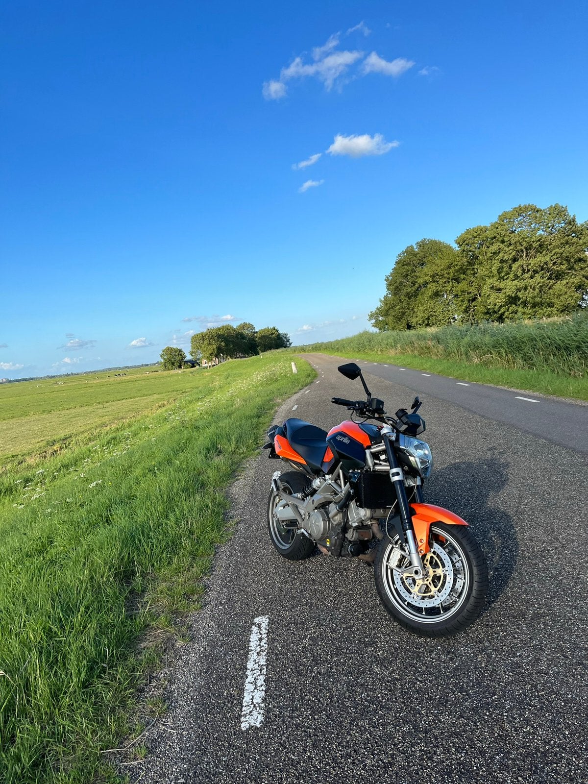 Aprilia Shiver 750, Motoren, Motoren | Aprilia, 750 cc, 2 cilinders, Particulier, Meer dan 35 kW