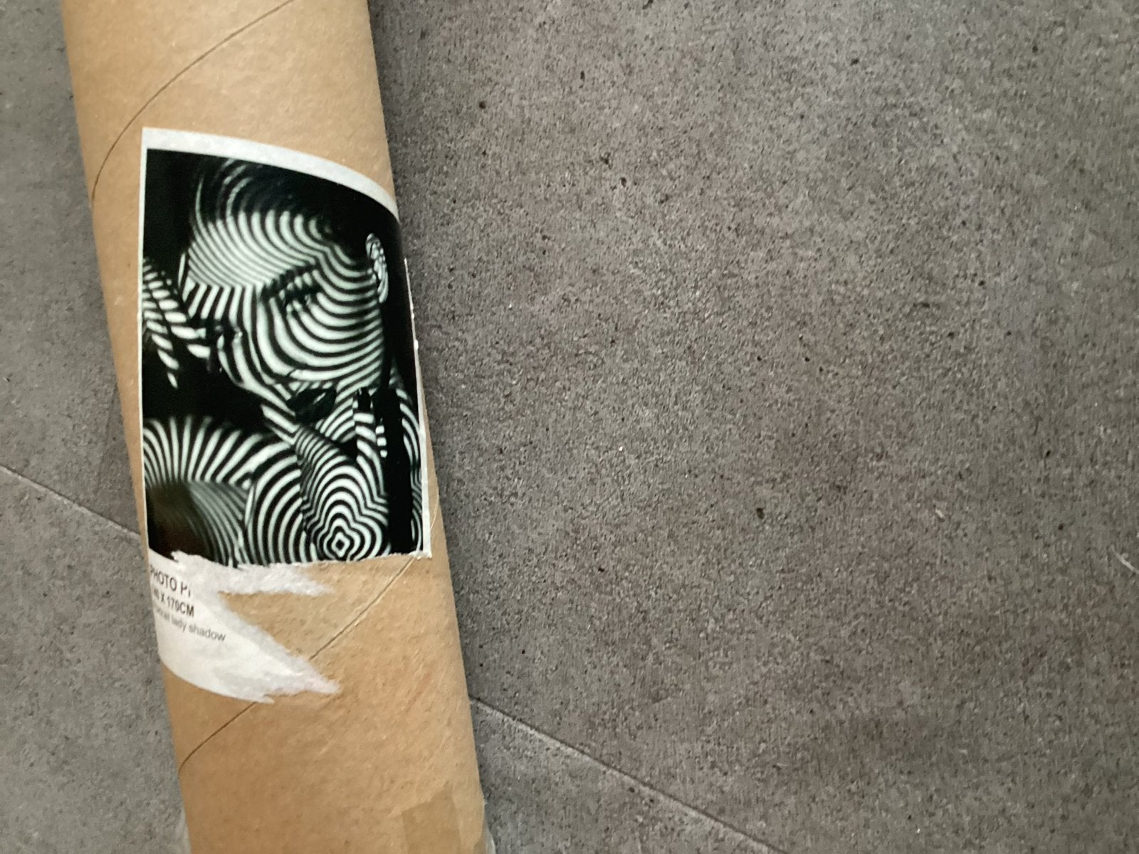 Nieuwe Foto poster op doek 1.40 x 1.70 in koker, 50 – 75, Nieuw, 125 cm of meer, Ophalen of Verzenden