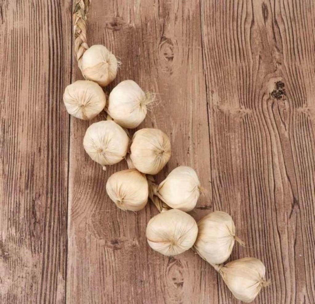 Nieuw Kunst Knoflook op Draad – Siergroente Decor, Verzenden, Nieuw