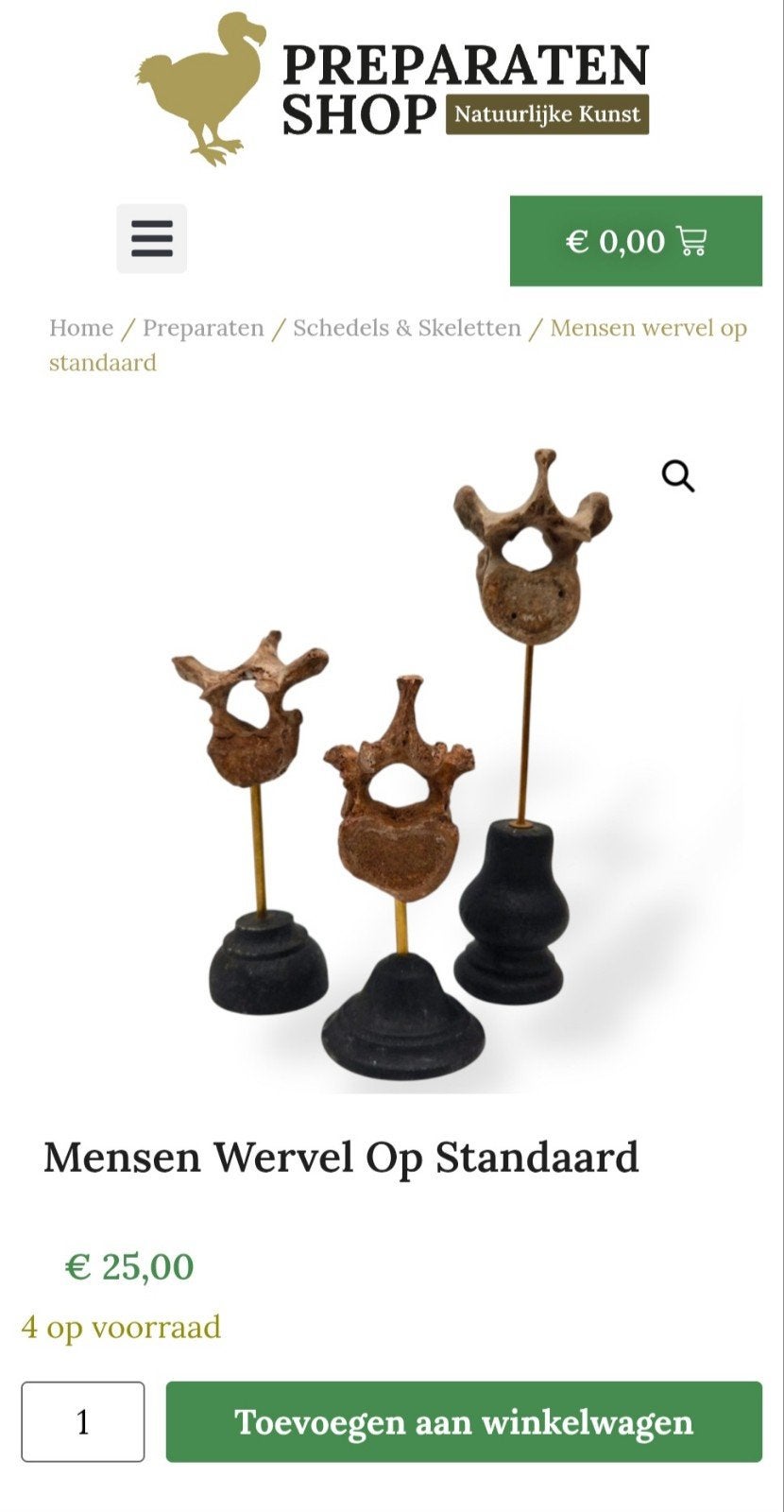 Standaard met echte Mens wervel €25,- per stuk schedel, Ophalen of Verzenden, Nieuw, Beeldje of Figuurtje