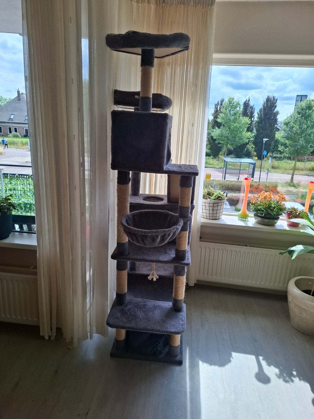 krabpaal, Kater