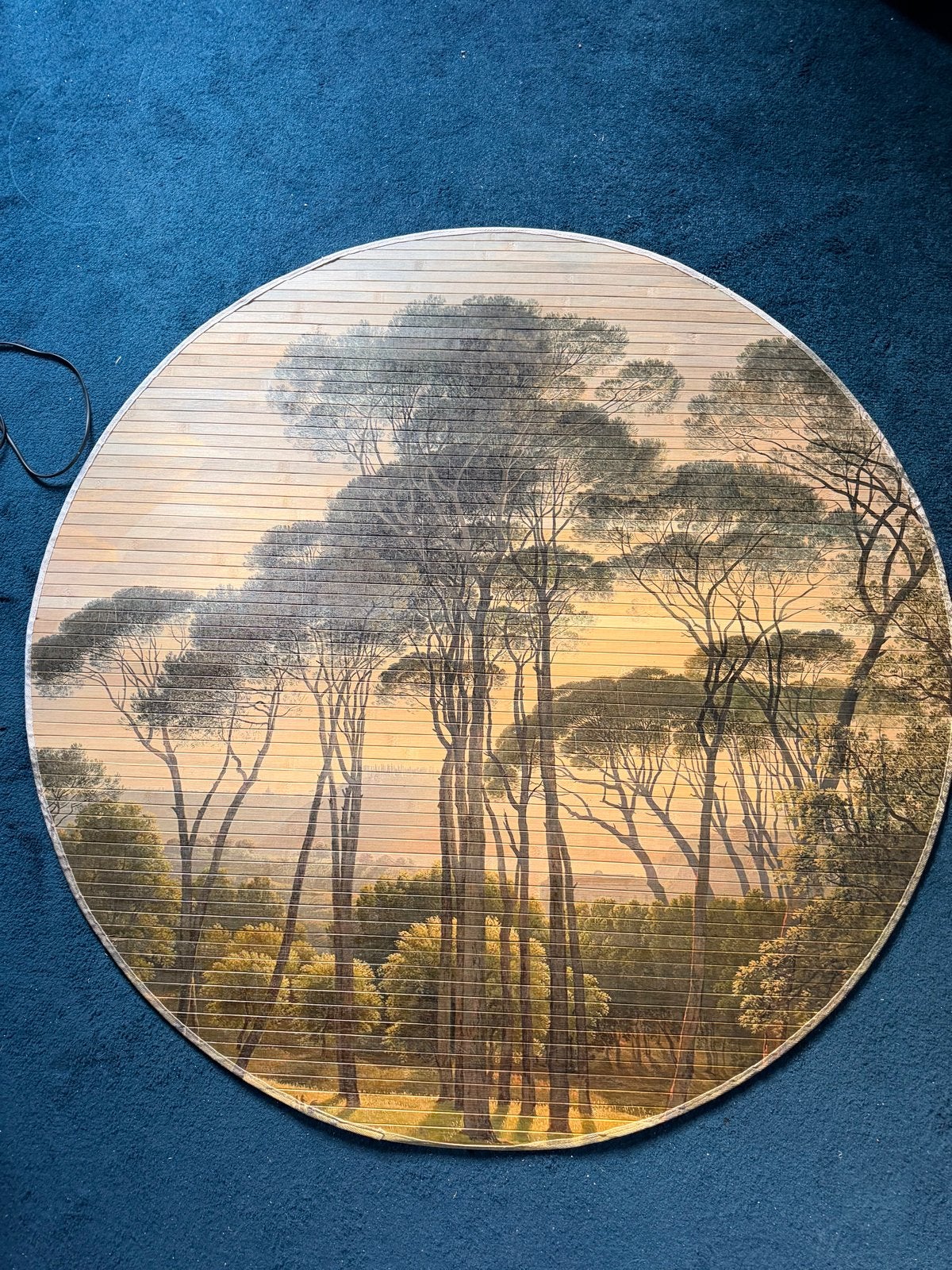 Rond schilderij op houten latjes - Landschap 120 cm, Realistisch, Ophalen of Verzenden, Overige technieken, Overige ondergronden