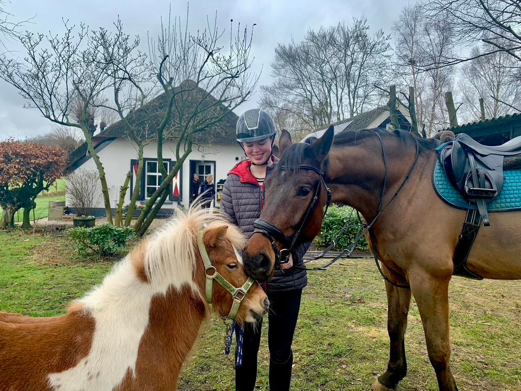 Dieren oppas aangeboden :), Ophalen, Zo goed als nieuw