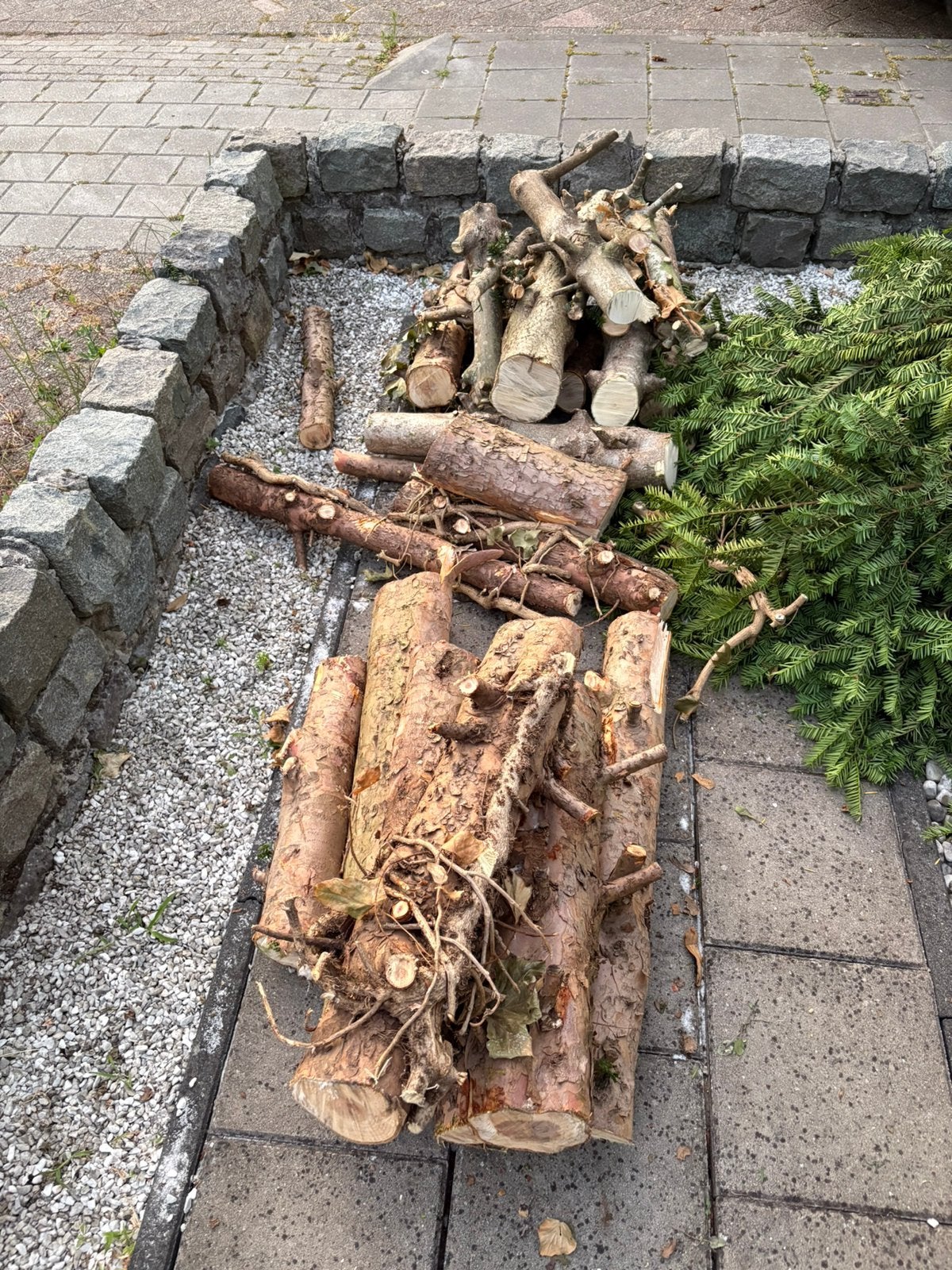Gratis brandhou haardhout, Tuin en Terras, Haardhout, Minder dan 3 m³, Ophalen, Stammen