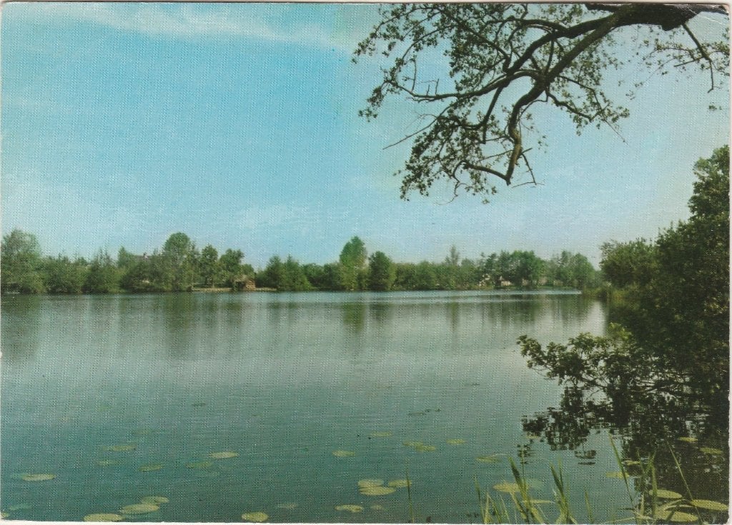SCHOONREWOERD Wielzicht, Verzenden, 1960 tot 1980, Gelopen, Utrecht
