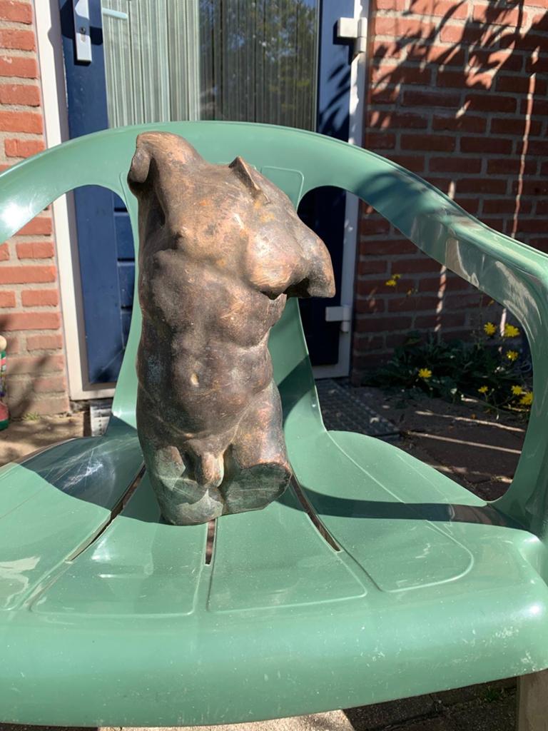 Bronzer Torso Beeld - Klassieke Kunst, Ophalen, 20 - 50 cm, Beeld, Bruin
