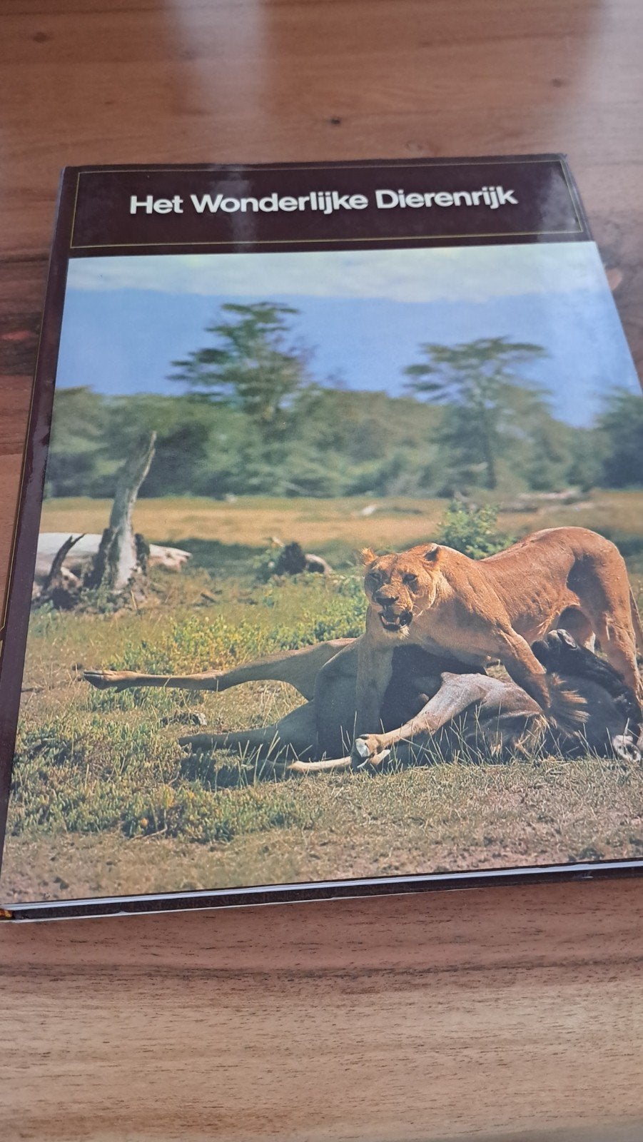 Het Wonderlijke Dierenrijk - Boek over dieren, Ophalen of Verzenden, Gelezen, Natuur algemeen, Onbekend