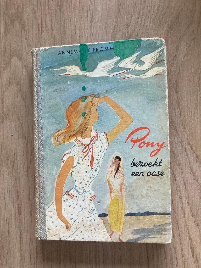 Boek Annemarie Fromme-Bechem, Ophalen of Verzenden, Gelezen