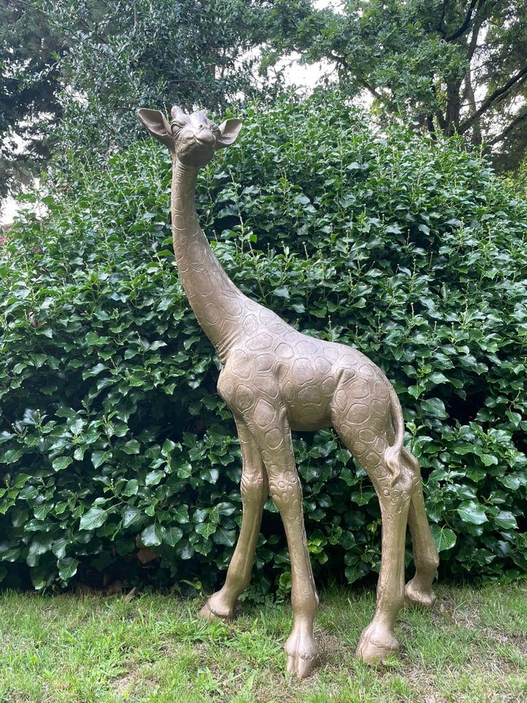 Giraffe giraf brons goud beeld tuin dier, Ophalen, Nieuw, Kunststof, Dierenbeeld