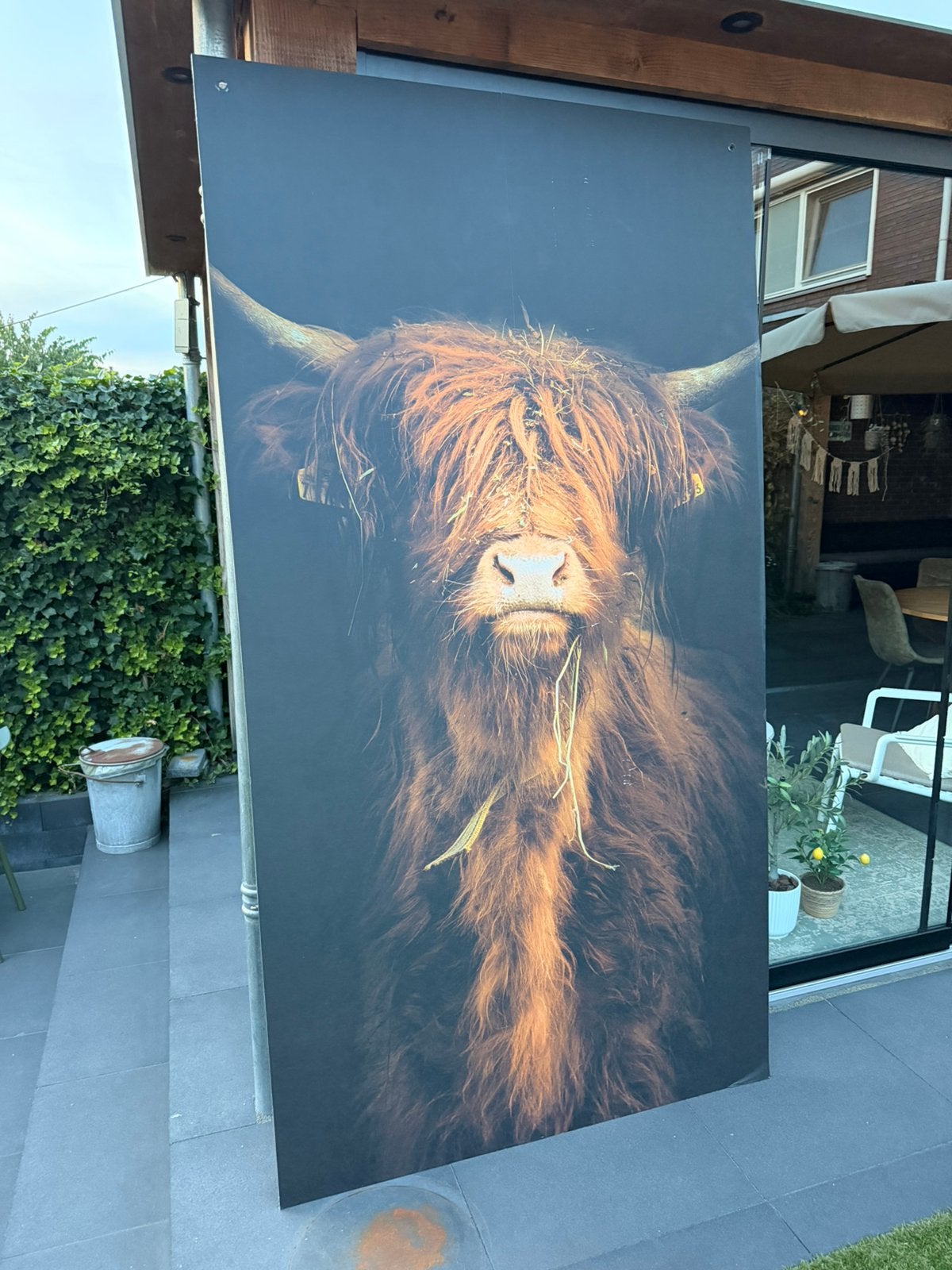Decoratie plaat 122x229, Ophalen, Zo goed als nieuw, 125 cm of meer, Print