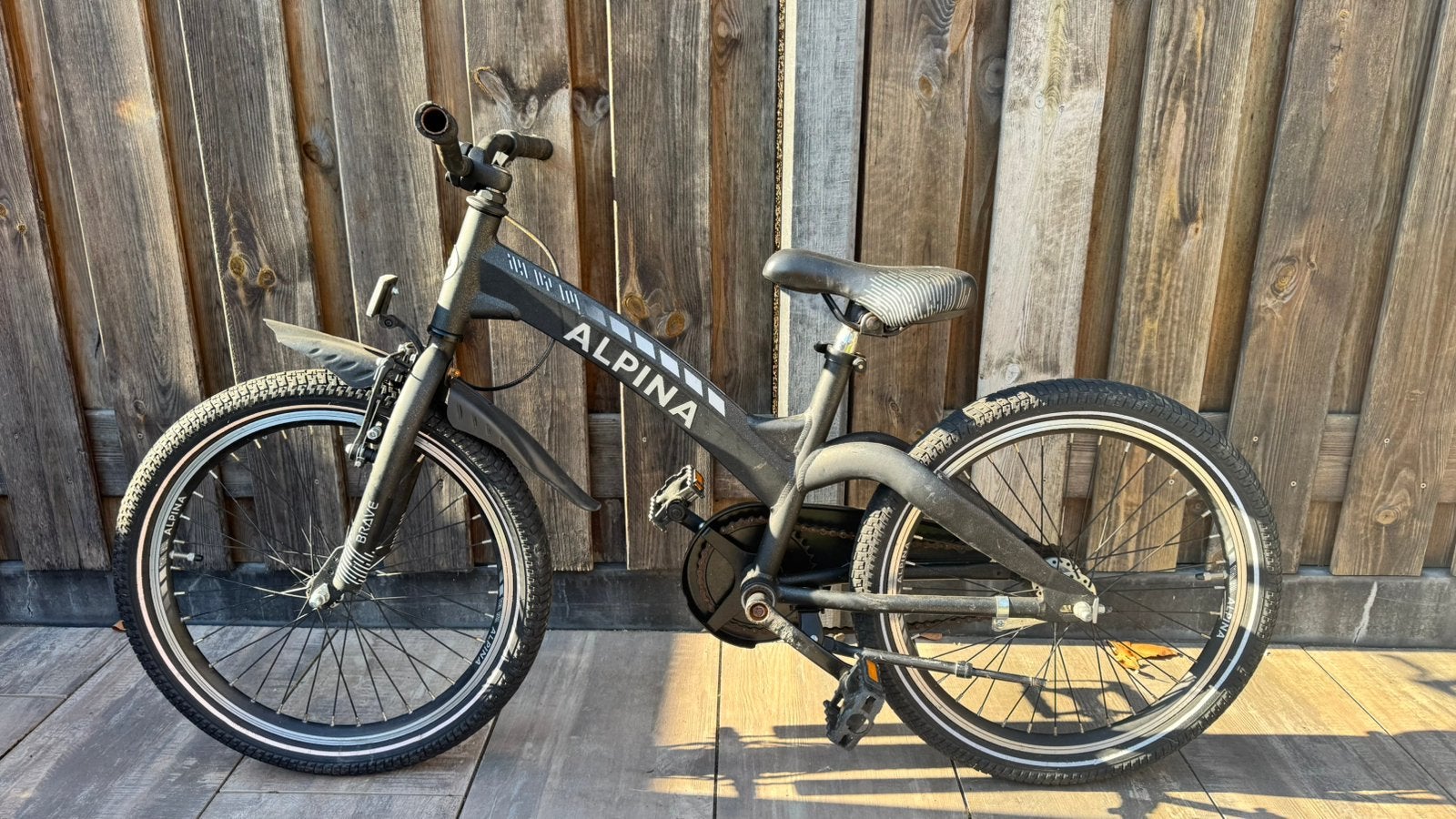 Alpina kinderfiets 20inch, Ophalen, Terugtraprem, Gebruikt, Handrem