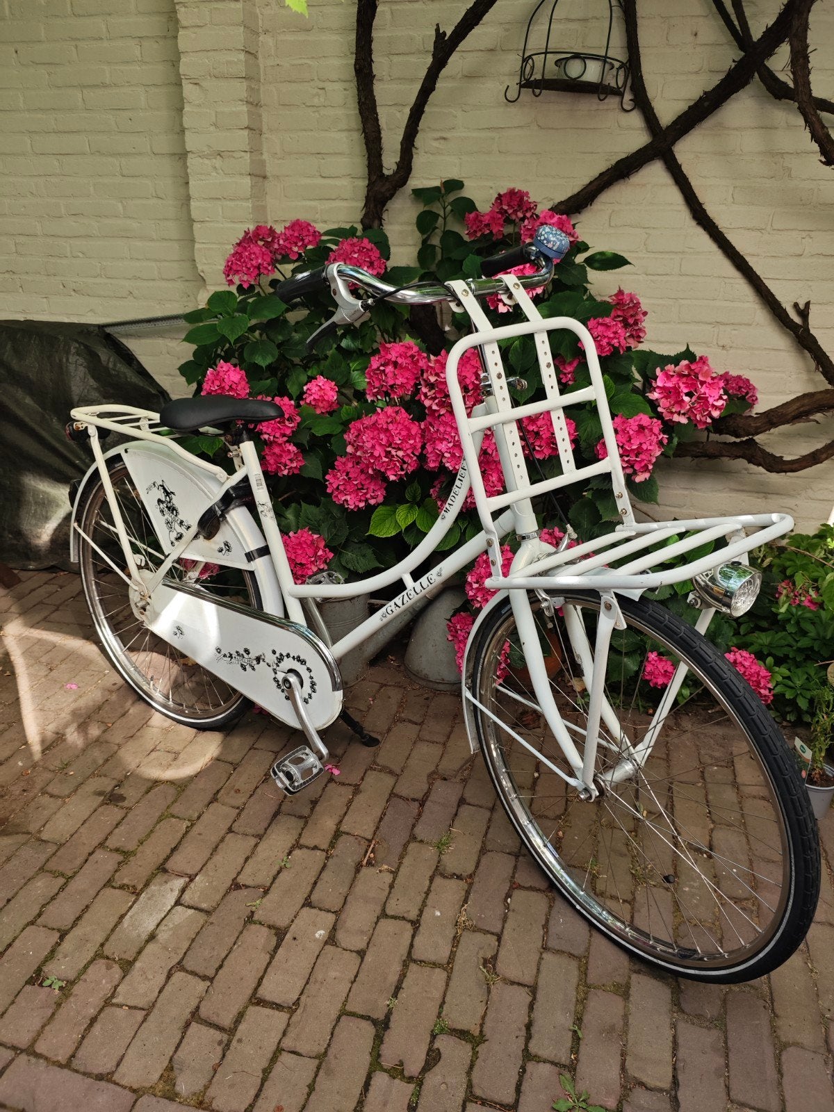 Gazelle Madelief Meisjesfiets 26 inch, Fietsen en Brommers, Ophalen, Gebruikt, 26 inch of meer, Handrem