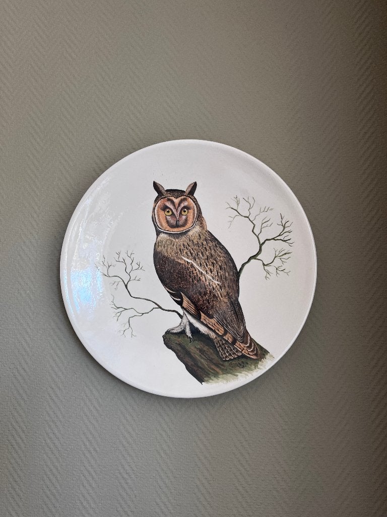 Decoratief bord met uil - Wanddecoratie, Ophalen of Verzenden