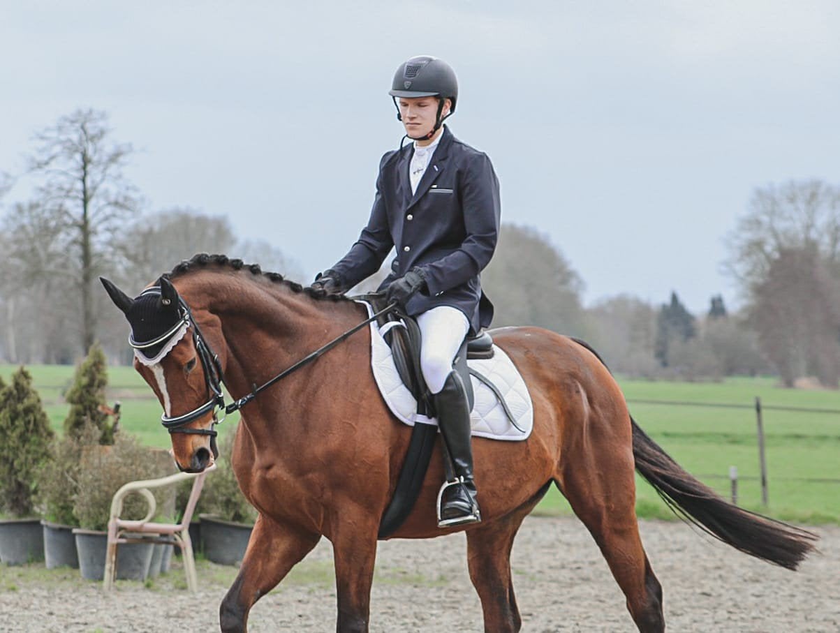 Te koop 14 jarige merrie, Dieren en Toebehoren, Paarden, Merrie, Dressuurpaard
