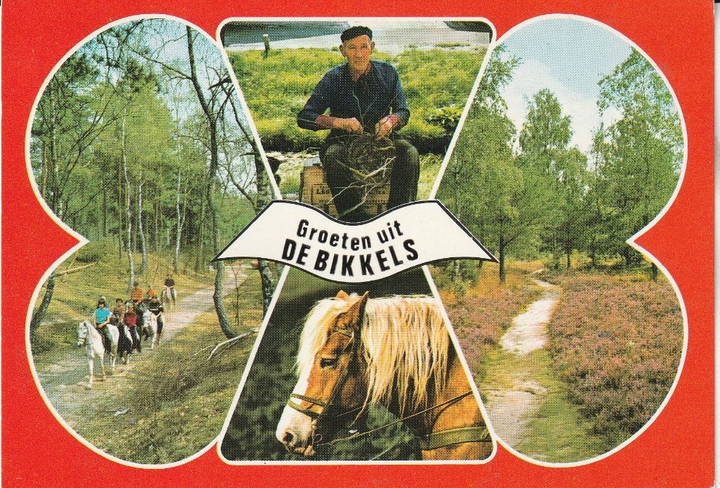 Groeten uit de Bikkels 2, Ophalen of Verzenden, 1980 tot heden, Gelopen, Noord-Brabant