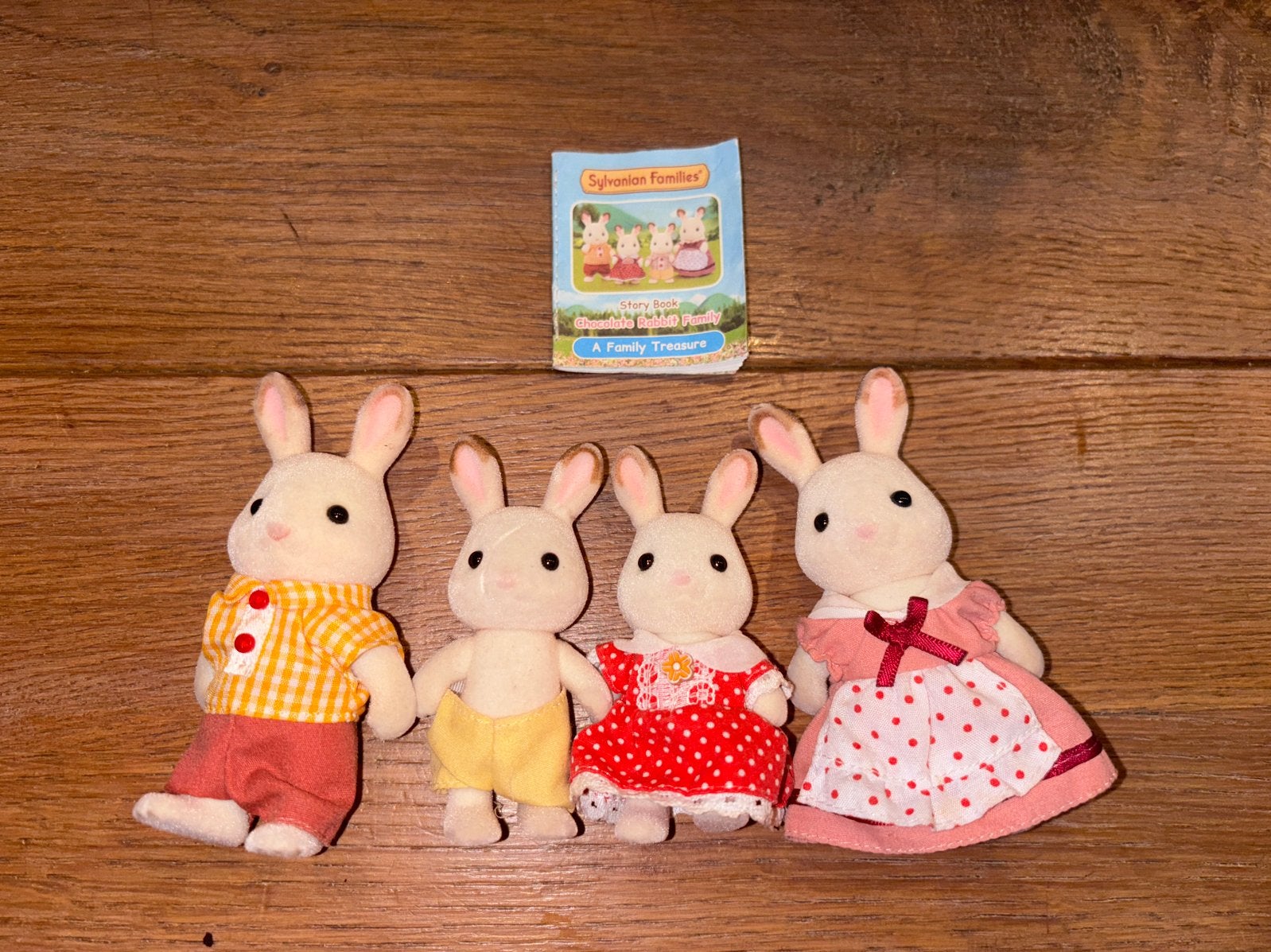 Sylvanian Families konijnen familie en boomhut met figuur, Ophalen of Verzenden, Gebruikt, Jongen of Meisje