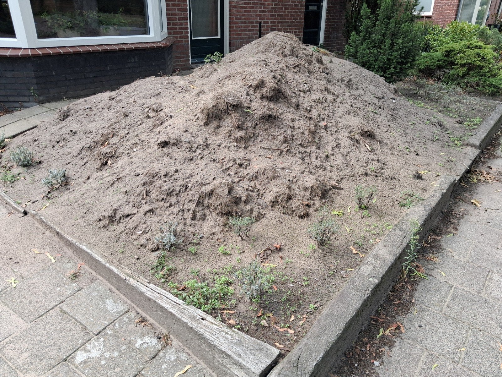 Gratis af te halen: Zwarte grond, 2-3 m³, Ophalen, Gebruikt, Overige typen