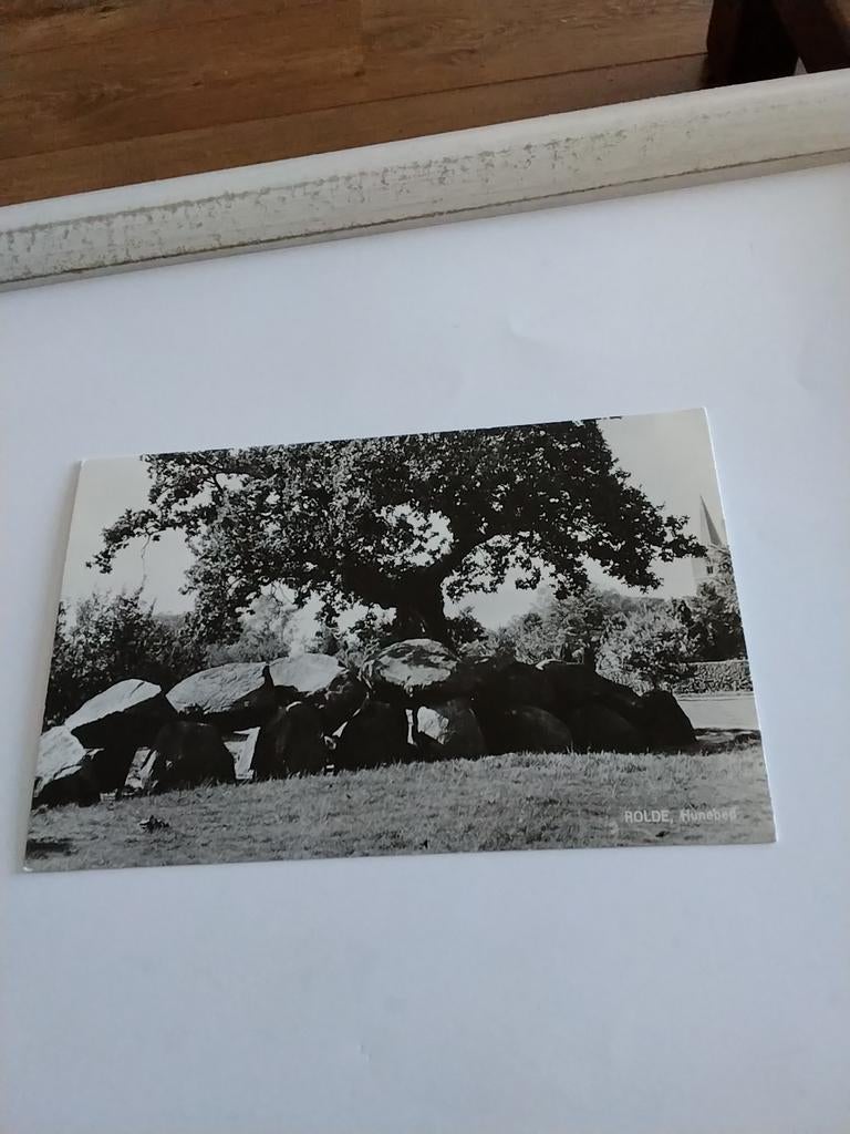 ROLDEN HUNEBED, Verzamelen, Ansichtkaarten | Nederland, Ophalen of Verzenden, Voor 1920, Zuid-Holland