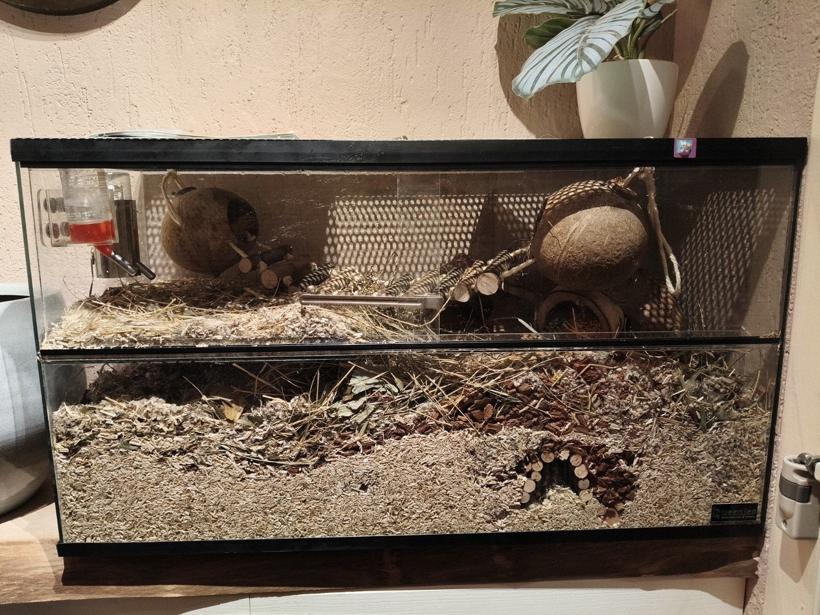 knaagdier terrarium, Dieren en Toebehoren, Minder dan 75 cm, Ophalen, Minder dan 60 cm, Hok