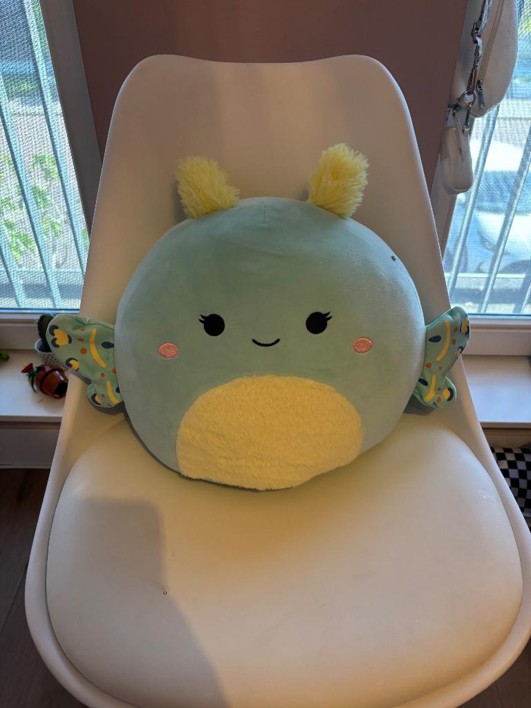 Squishmallow nieuw!, Groen, Overige typen, Nieuw, Ophalen of Verzenden