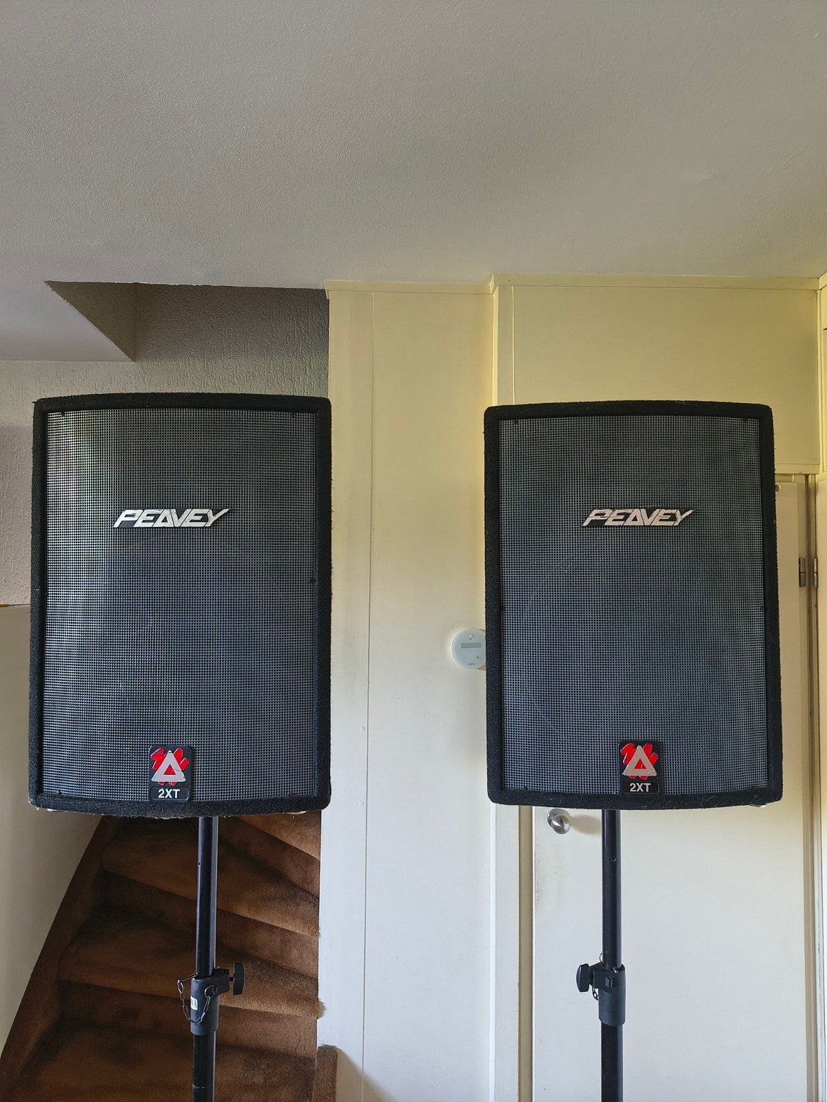 Peavey xt speakers, Ophalen, Gebruikt, Peavey