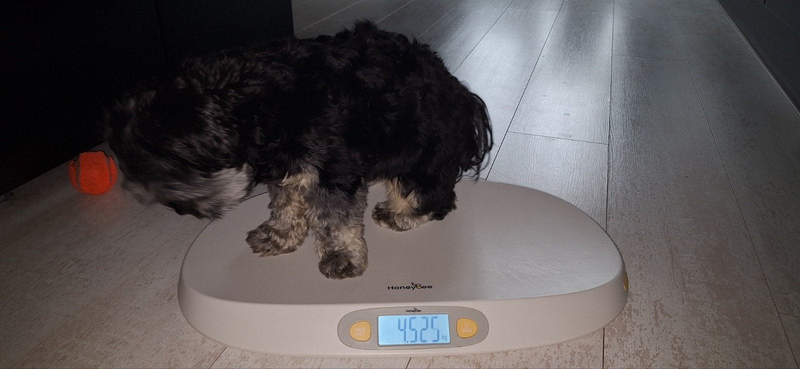 puppy pakket, Dieren en Toebehoren, Ophalen, Zo goed als nieuw