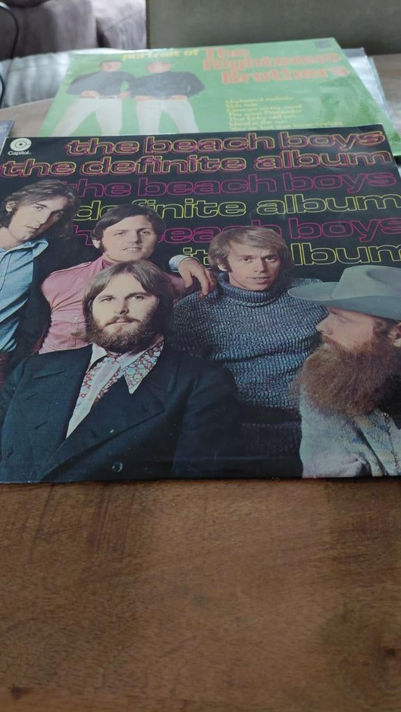 The Beach Boys - The Definite Album LP, Ophalen of Verzenden