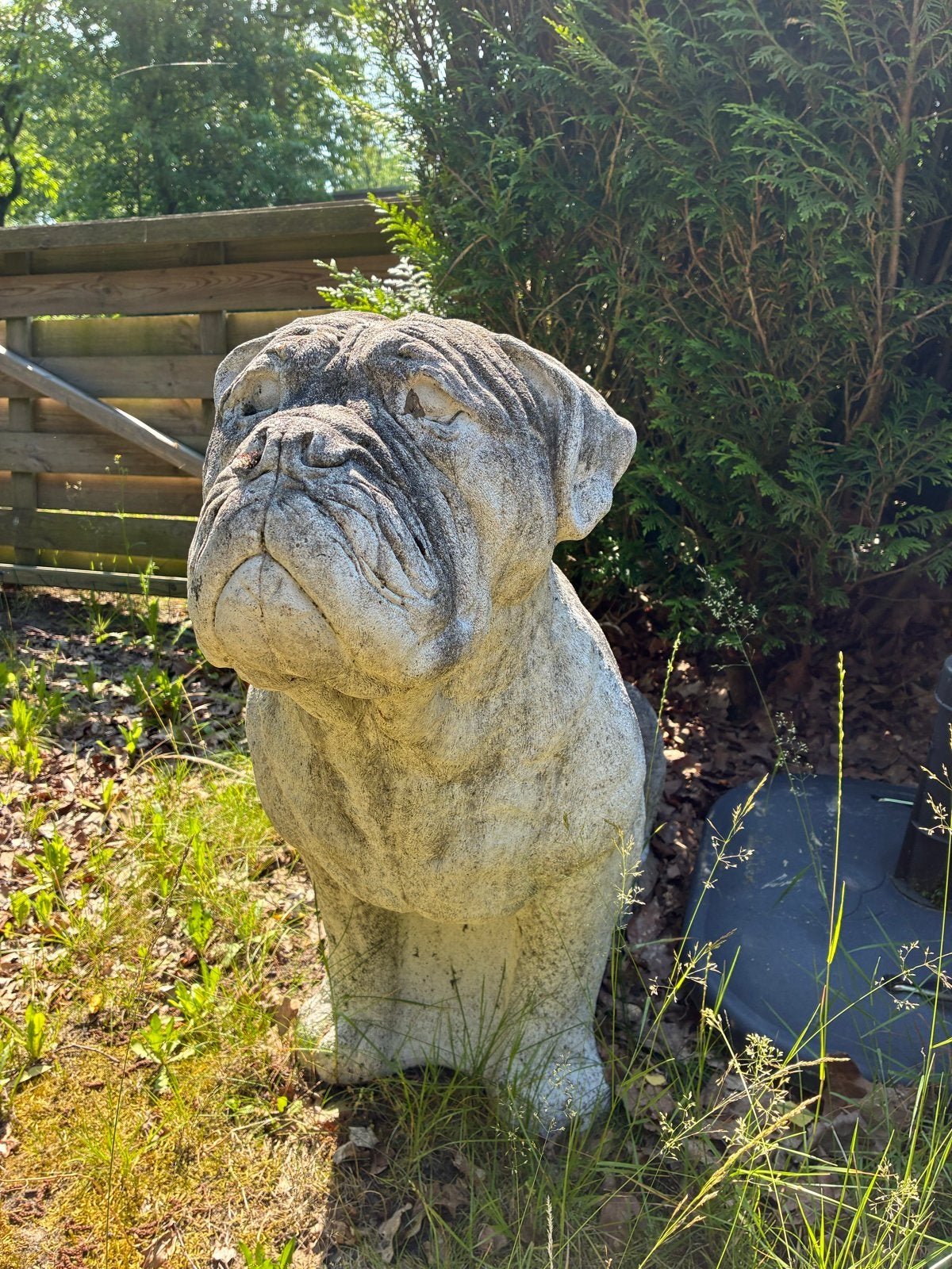 Bullmastiff Tuinbeeld - Beton, Ophalen, Gebruikt, Beton, Dierenbeeld