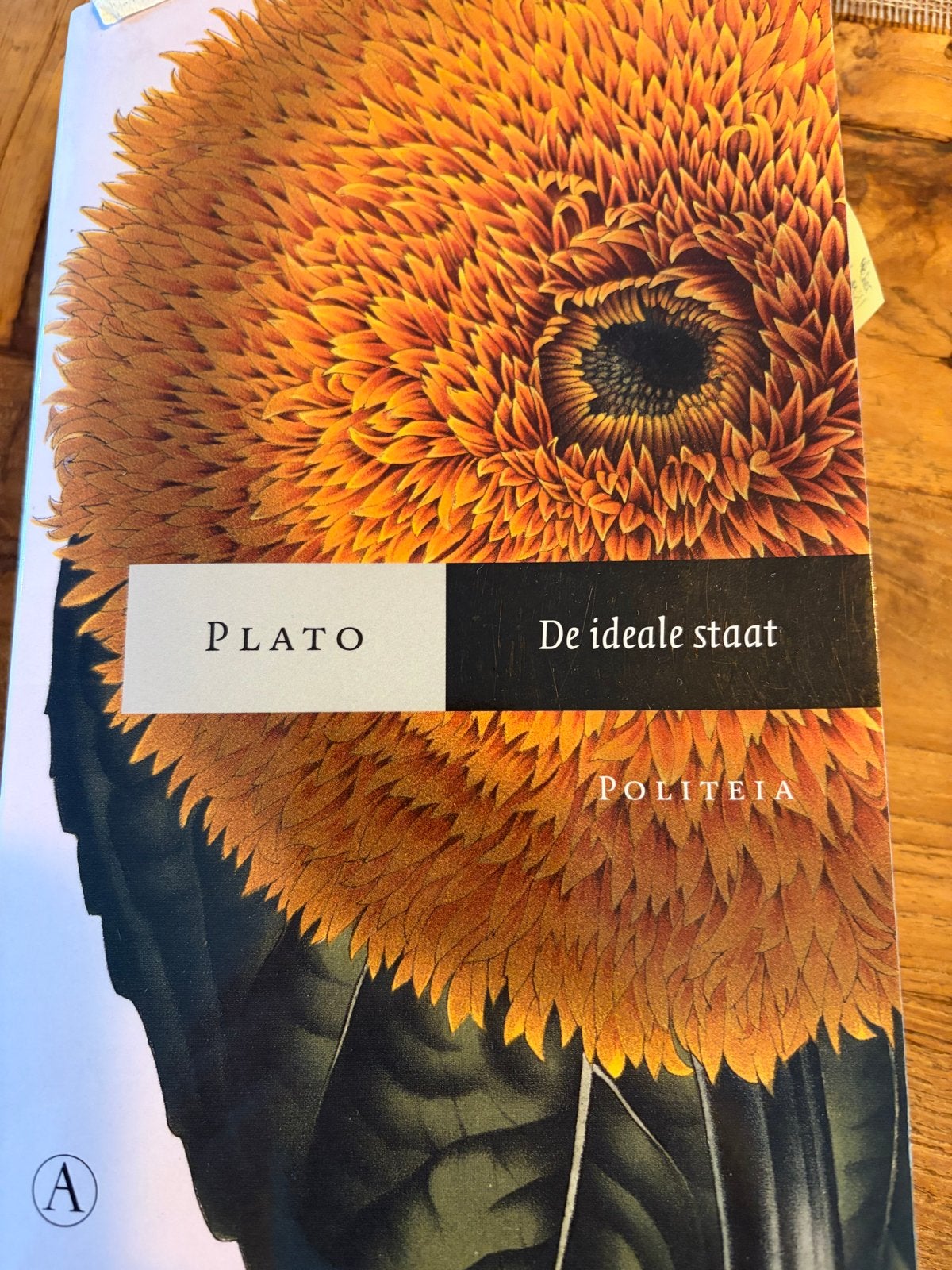 Plato - De ideale staat (Politeia), Ophalen of Verzenden, Zo goed als nieuw, Nederland