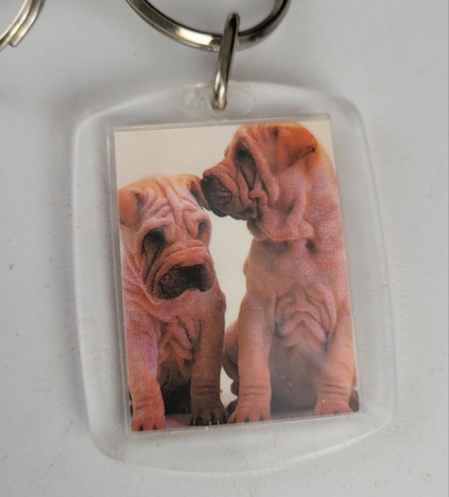 Sleutelhanger met schattige Shar-Pei puppy's, Ophalen of Verzenden, Zo goed als nieuw, Dier of Natuur