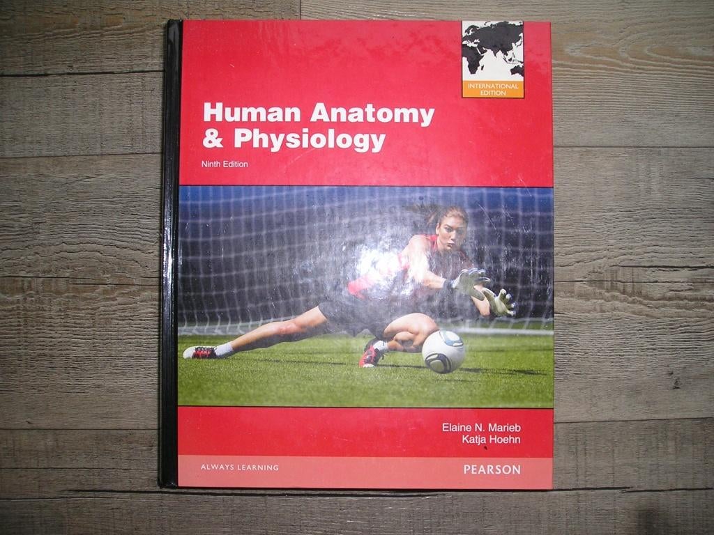 NIEUW - Human Anatomy & Physiology ISBN 9780321799173  9e dr, Boeken, Studieboeken en Cursussen, Ophalen, Beta, Nieuw, WO