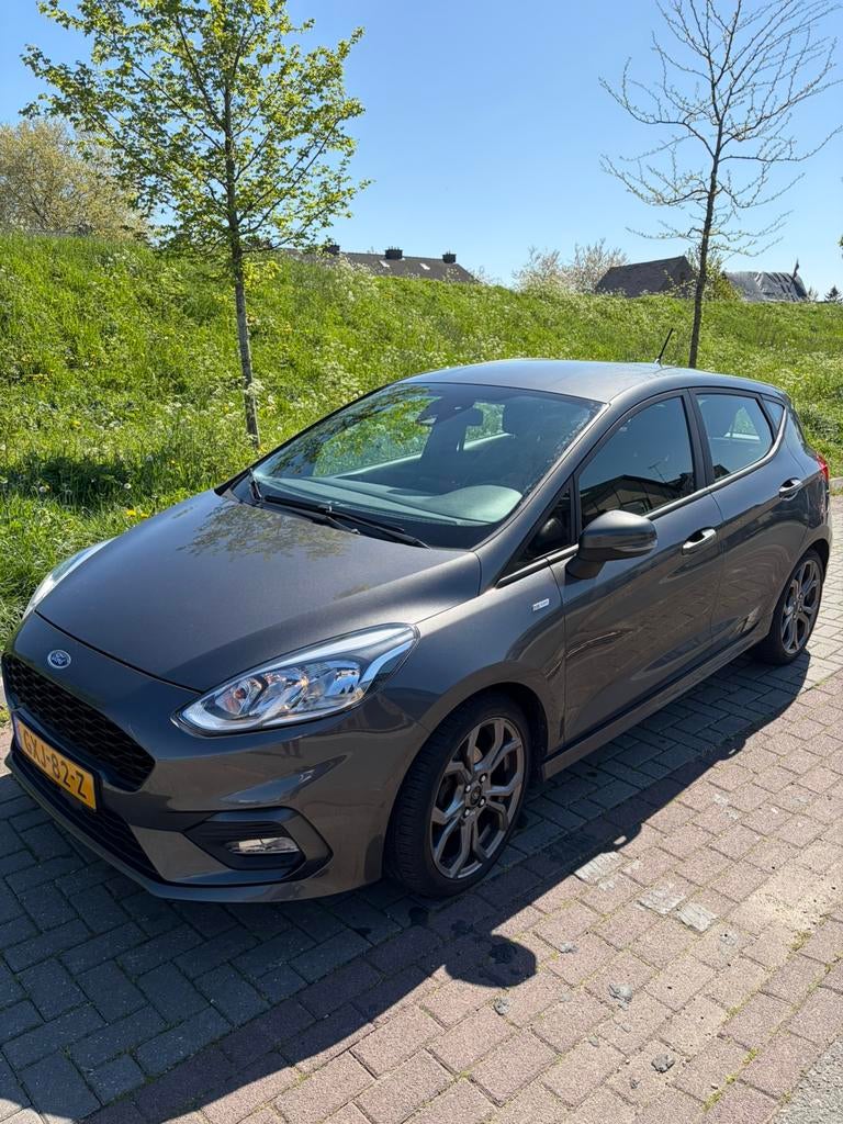 Ford Fiësta 1.0 Ecoboost 100pk 5dr 2018 Grijs, Auto's, Voorwielaandrijving, Zwart, 595 kg, Handgeschakeld