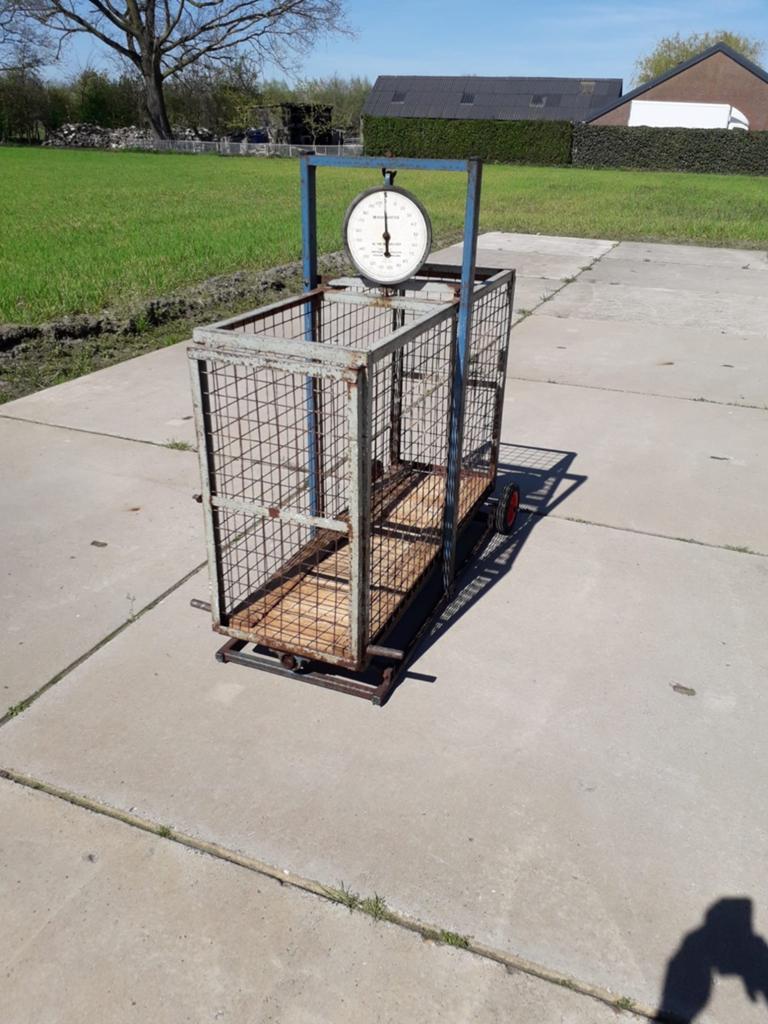 GEZOCHT  doorloopweegschaal schapenweegschaal veeweegschaal, Dieren en Toebehoren, Ophalen, Gebruikt