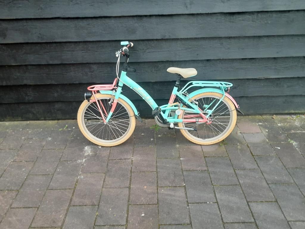 Loekie kinderfiets - Zeegroen/Roze, Fietsen en Brommers, Fietsen | Kinderfietsjes, Gebruikt, 20 inch of meer, Ophalen of Verzenden