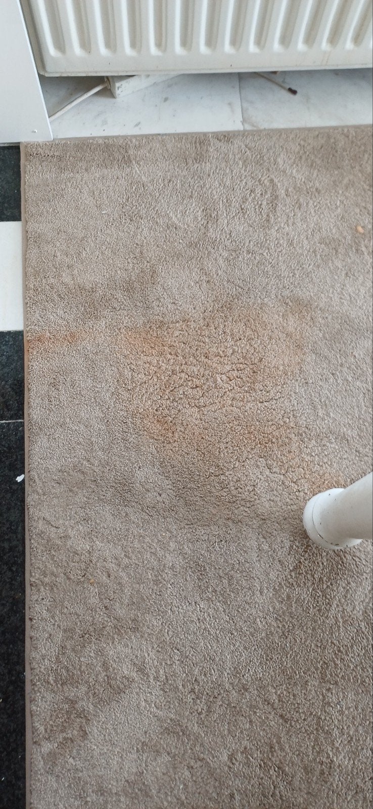 Groot vloerkleed 300x400 cm - Beige, Ophalen, Gebruikt, Beige, 200 cm of meer