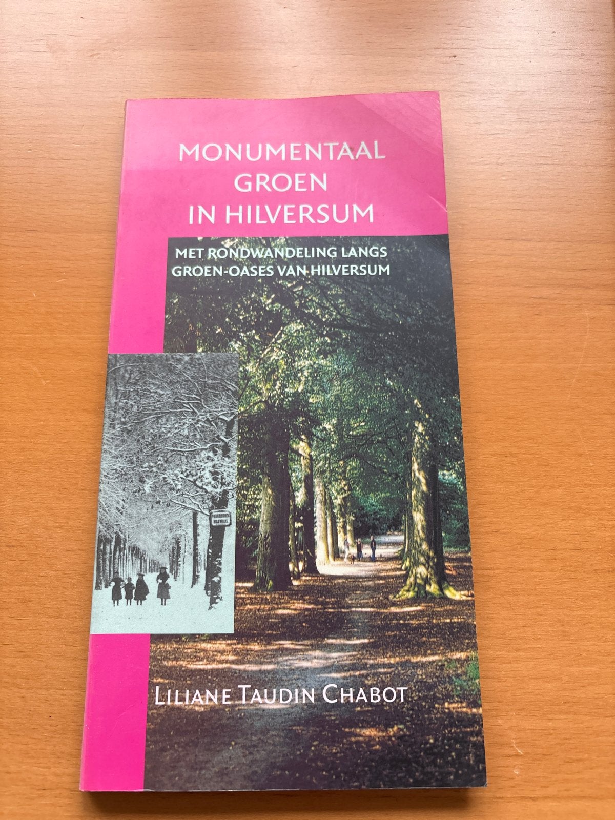 Monumentaal Groen in Hilversum - Liliane Taudin Chabot, Ophalen of Verzenden, 20e eeuw of later, Zo goed als nieuw