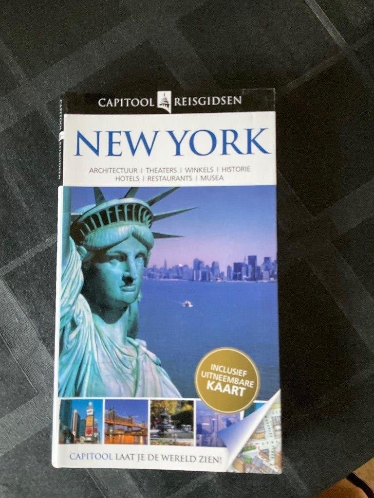 Reisgids New York, Overige merken, Ophalen of Verzenden, Zo goed als nieuw, Reisgids of -boek