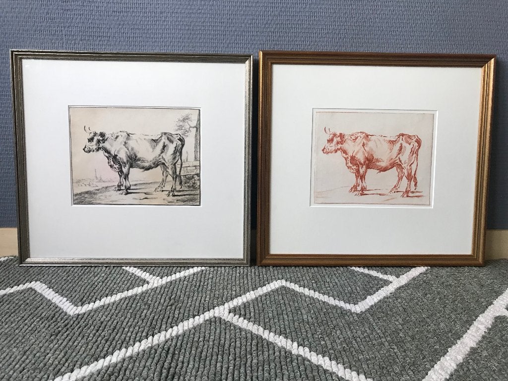 Stier, Rund, Koe, Bovine, Paulus Potter, Ophalen of Verzenden