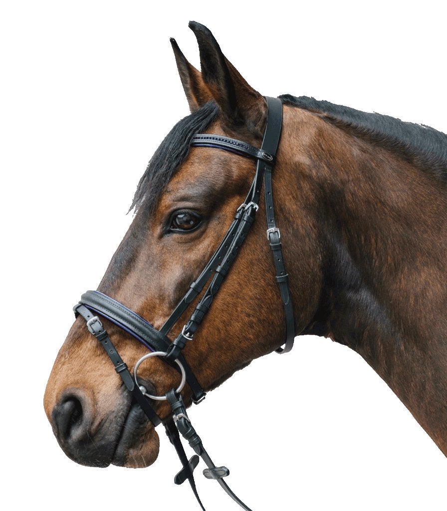 Nieuw Star Diamond hoofdstel Zwart/Blauw maat pony of Full, Hoofdstel, ., Nieuw, Blauw