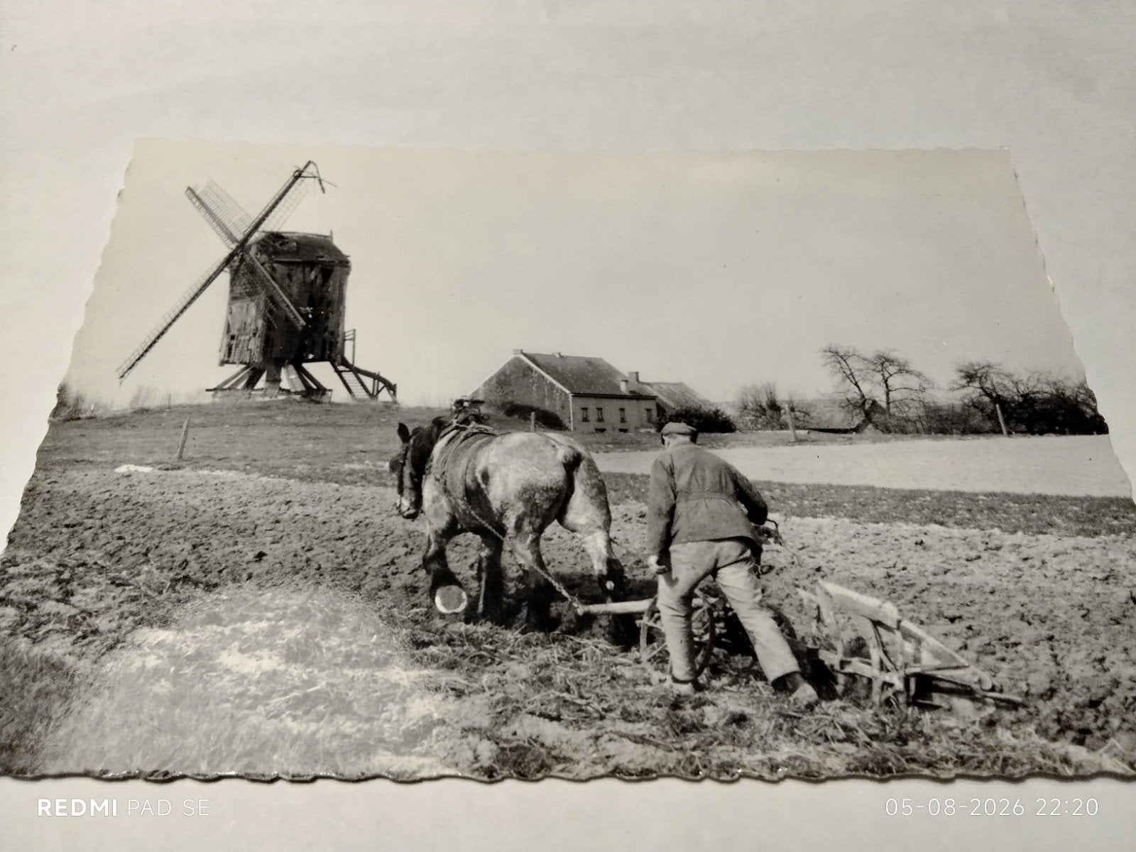 Oude foto ansicht Sint-Antelinks - Molen Ter Rijst (1973), Verzamelen, Ansichtkaarten | België, Ophalen of Verzenden, 1960 tot 1980