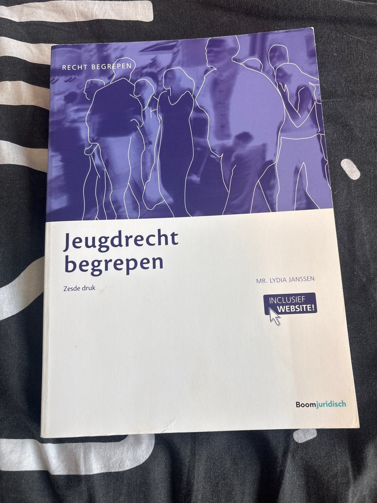 Jeugdrecht begrepen - Mr. Lydia Janssen (Zesde druk), Boeken, Studieboeken en Cursussen, Ophalen of Verzenden, Alpha, Zo goed als nieuw