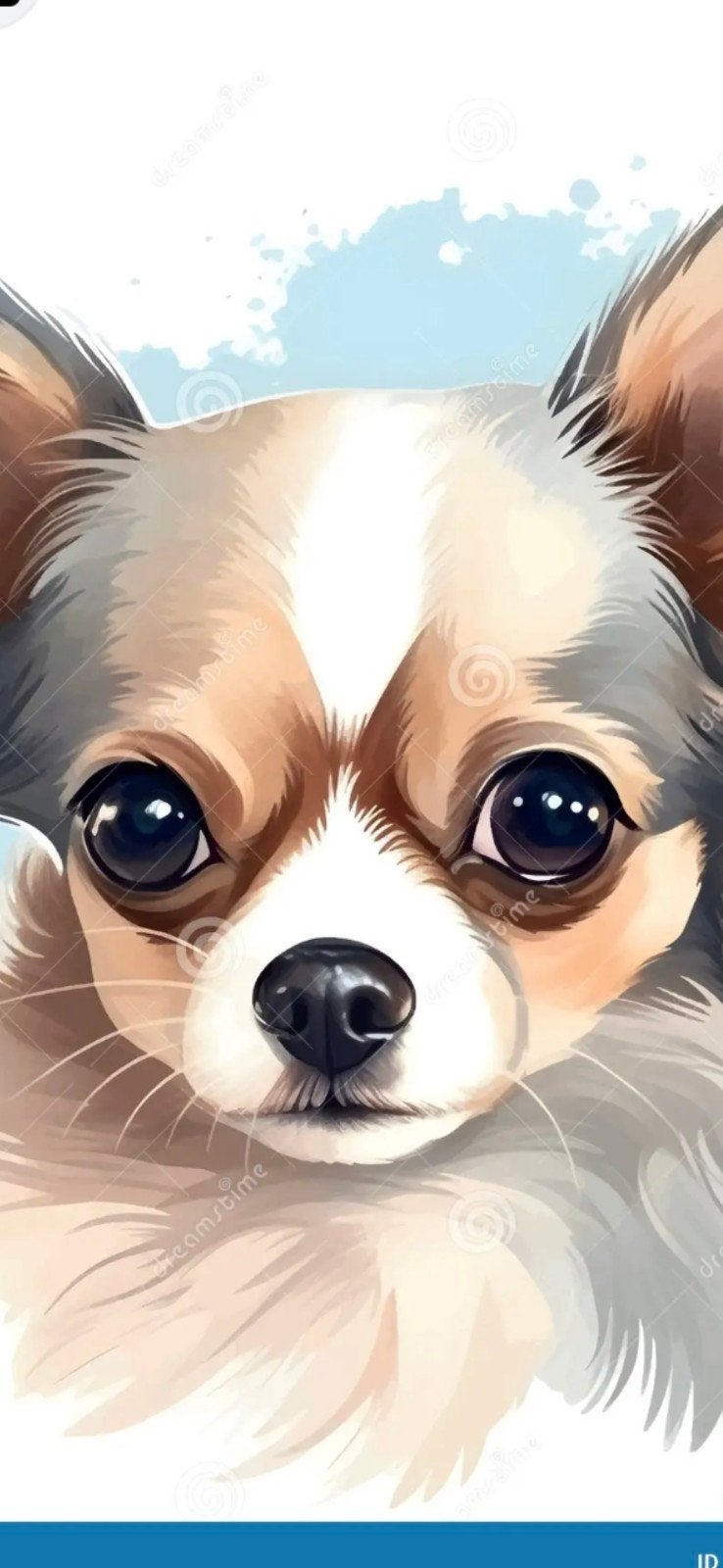 gevraagt / gezocht leuk klein lief hondje, Reu, 1 tot 2 jaar, Eén hond, Nederland
