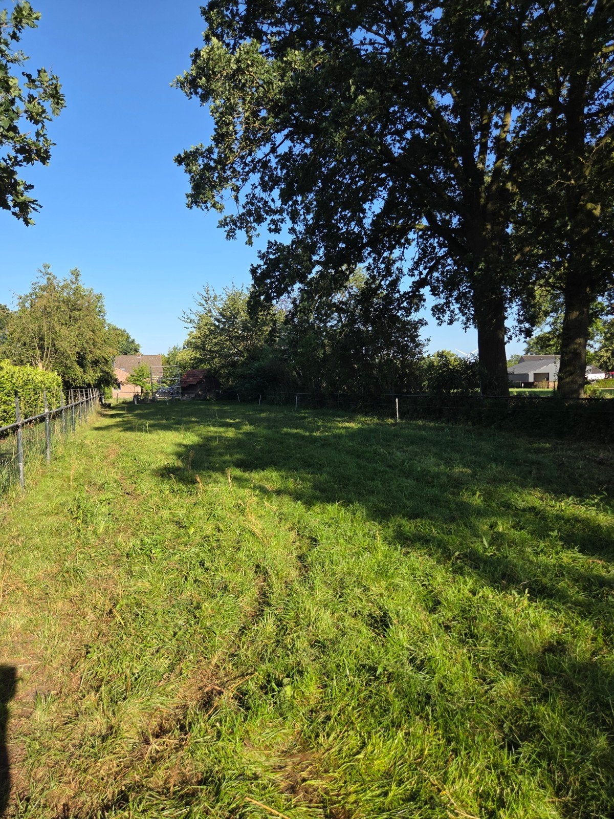 Weiland te huur 4500 m2 op mooie locatie, buitengebied Breda, Dieren en Toebehoren, Stalling en Weidegang