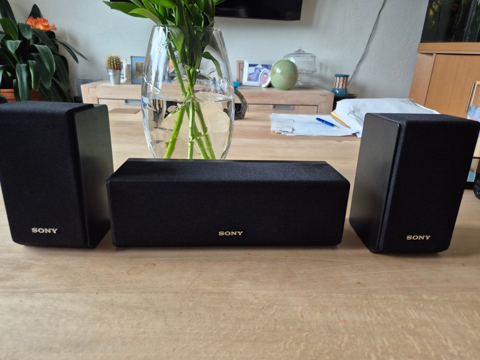 Prachtige speakers set Sony., Ophalen, Speakerset, Zo goed als nieuw, Sony