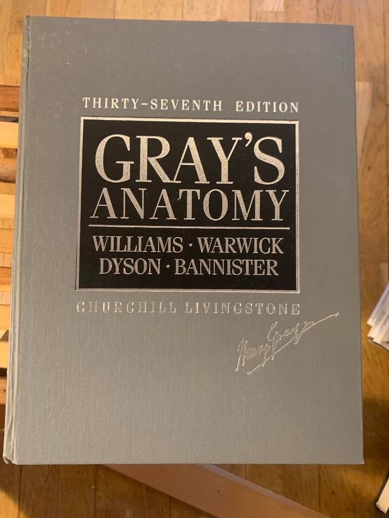 Gray's Anatomy 37e editie - Medisch studieboek, Ophalen of Verzenden, Beta, Gelezen, WO
